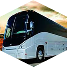 Charter Bus Transportation